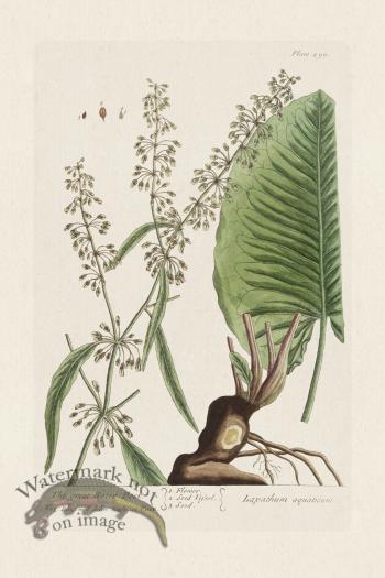 BEE 490 The great Water Dock